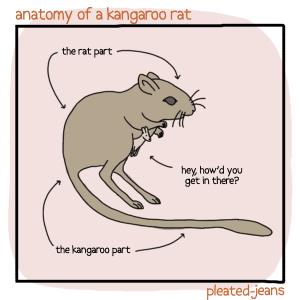 Anatomy of Desert Life (8 Pics) | Pleated Jeans