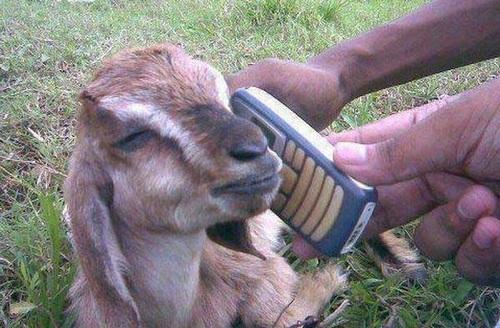 Funny Pic Dump (5)