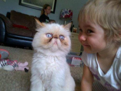LOL Animals (6)