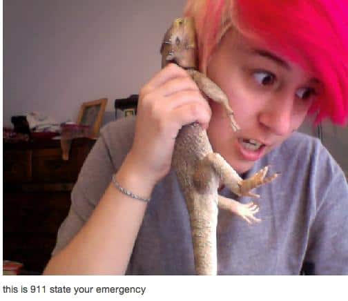 Funny Pic Dump (5)