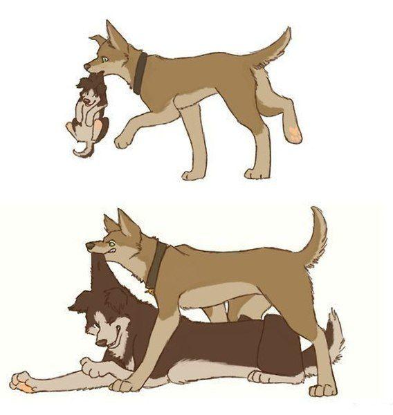 Funny Pic Dump (6)