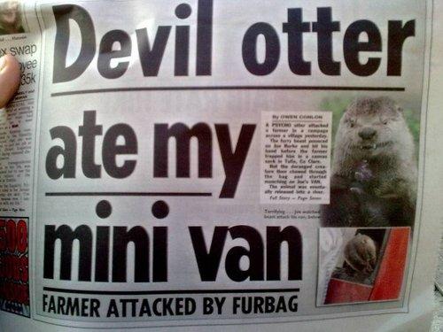 Funny Pic Dump (8)