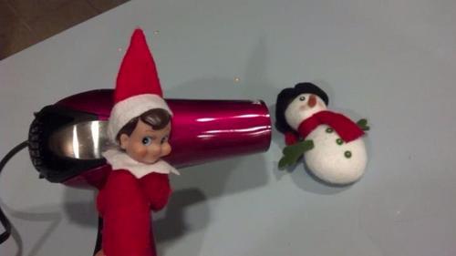 Funny Pic Dump (5)