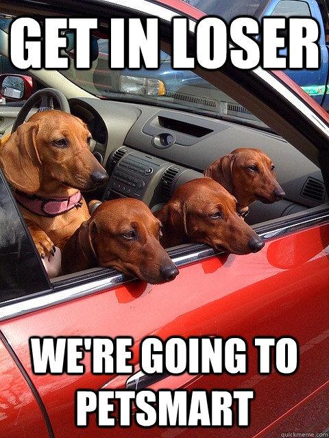 Funny Pic Dump (5)