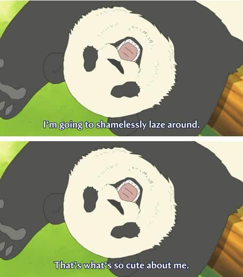 Funny Pic Dump (11)