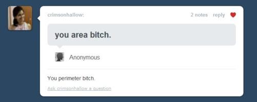 Funny Tumblr Comments (6)