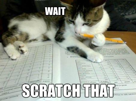 Funny Pic Dump (14)