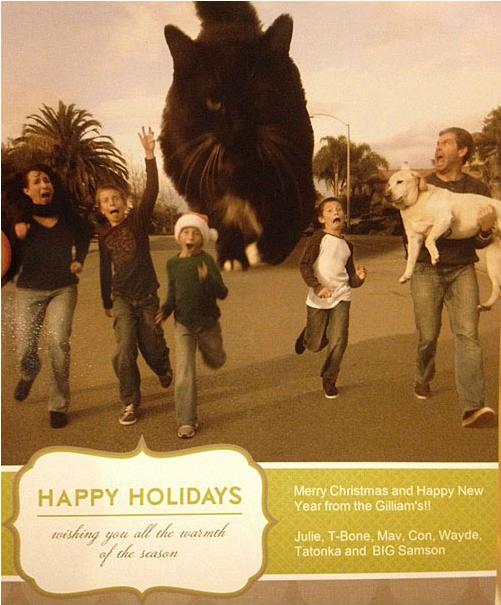 22 Funny Family Christmas Card Ideas