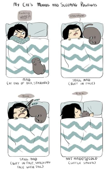 Funny Pic Dump (8)