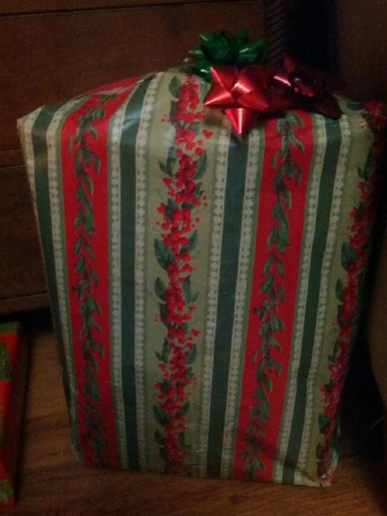 Difficult Christmas Wrapping (14)