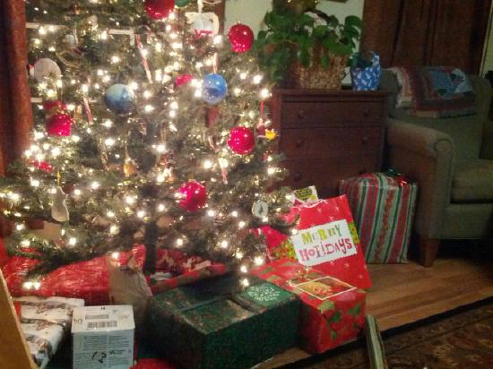 Difficult Christmas Wrapping (15)