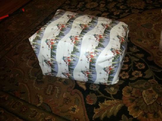 Difficult Christmas Wrapping (8)