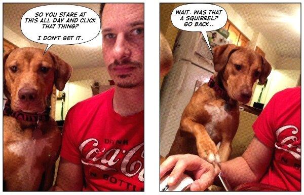 LOL Animals (11)