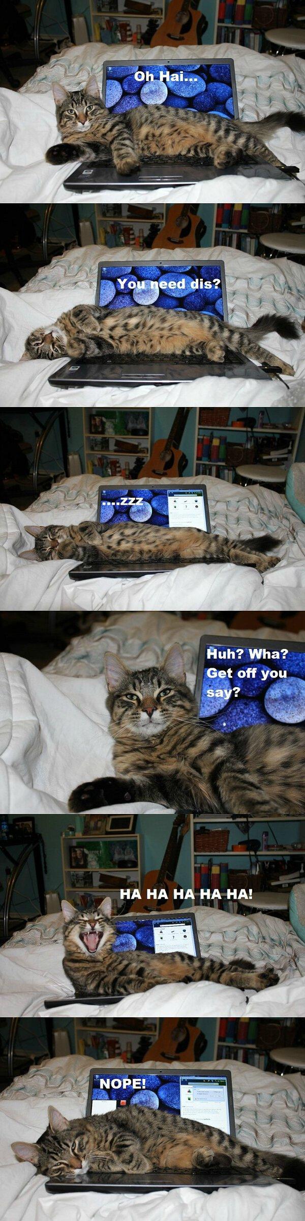 LOL Animals (14)