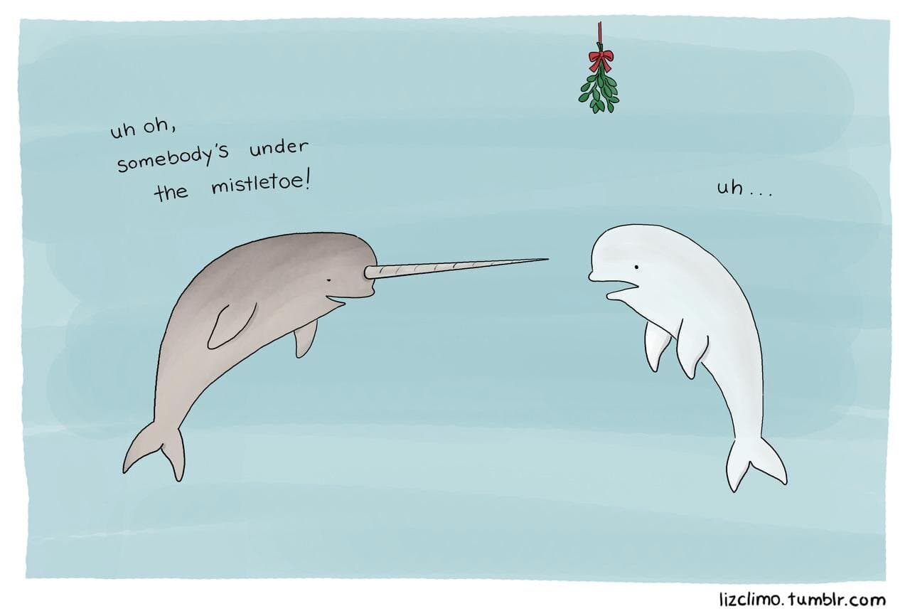 Funny Pic Dump (19)