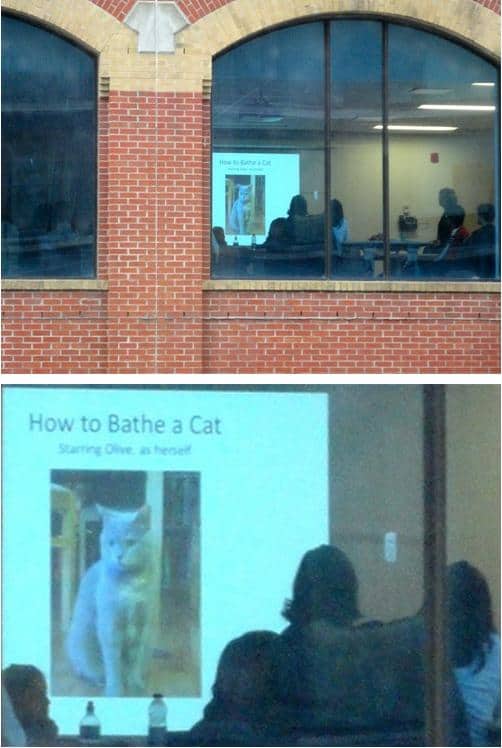 Funny Pic Dump (20)