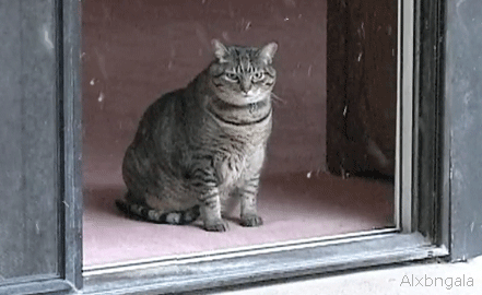when you get an email that says the package you ordered wont arrive until after christmas