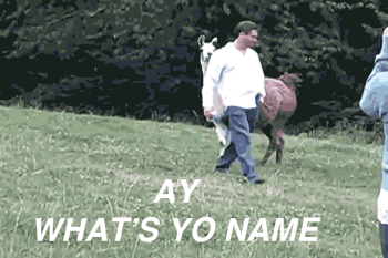 when you try to holla