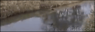 Awesome Animated GIFs (5)