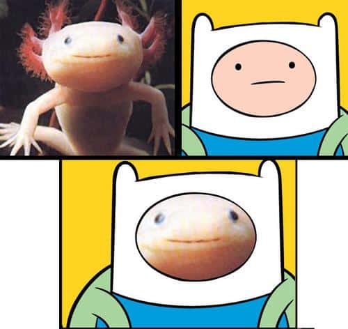 Funny Pic Dump (1)