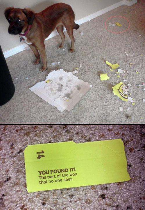 Funny Pic Dump (4)