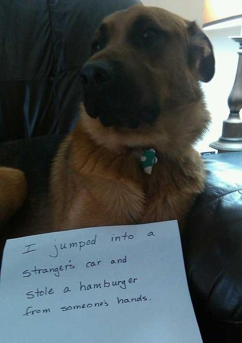 Funny Pic Dump (2)