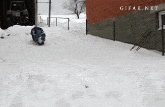 3.gif
