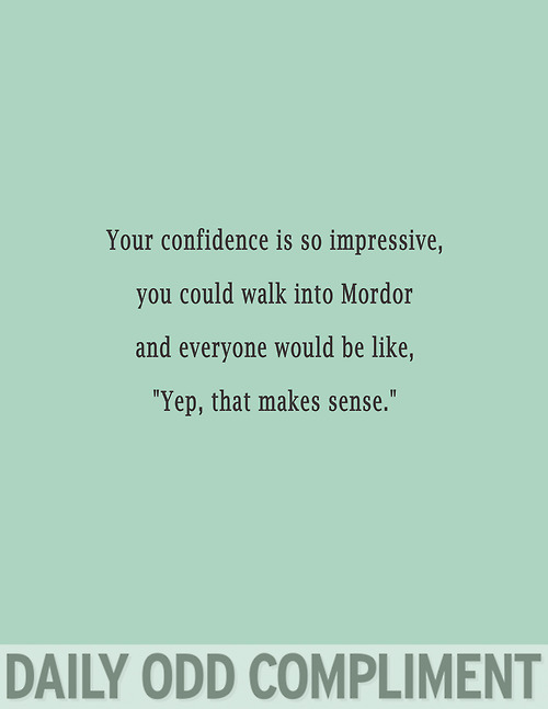 Daily Odd Compliment (17)