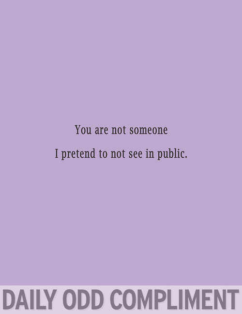 Daily Odd Compliment (13)