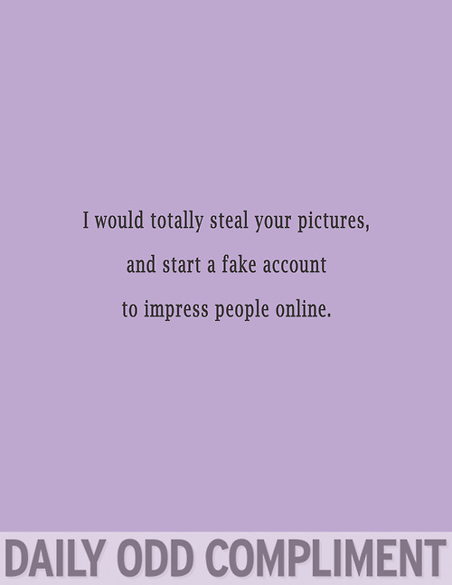 Daily Odd Compliment (8)