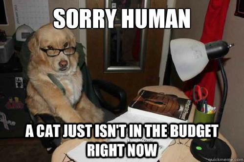 Financial Advice Dog (8)