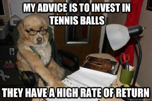 Best of the Financial Advice Dog Meme (14 Pics)