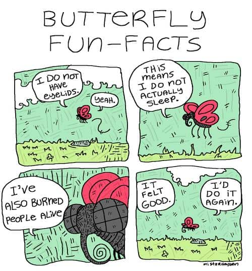 Funny Pic Dump (1)