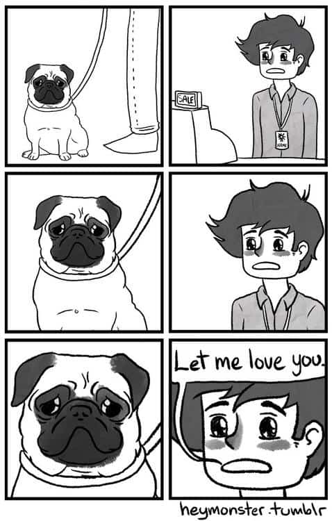 Funny Pic Dump (4)