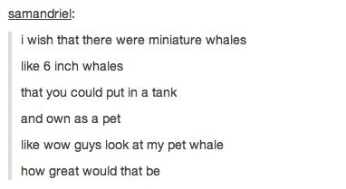 Funny Pic Dump (18)