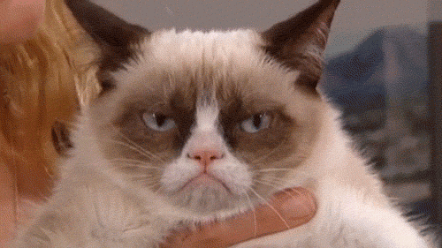 15 Things that will definitely happen on holiday