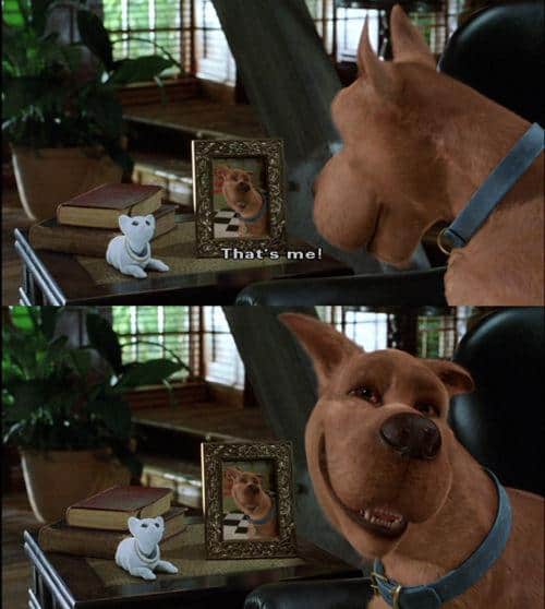 Funny Screencaps (6)