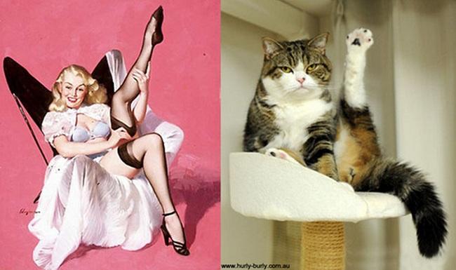 cats-that-look-like-pin-up-girls-02