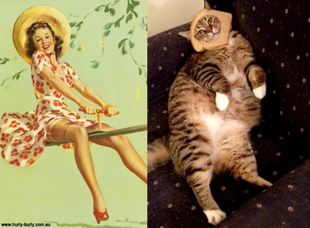 cats-that-look-like-pin-up-girls-03