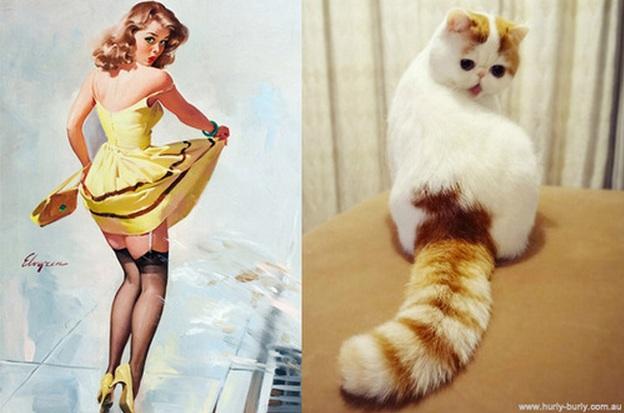 cats-that-look-like-pin-up-girls-05.jpg