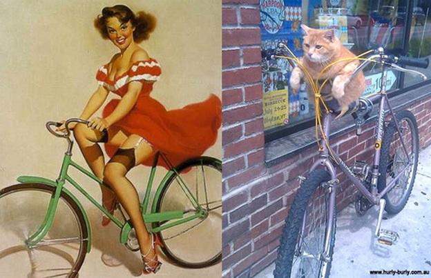 cats-that-look-like-pin-up-girls-08
