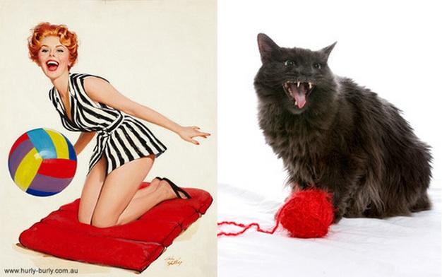 cats-that-look-like-pin-up-girls-10