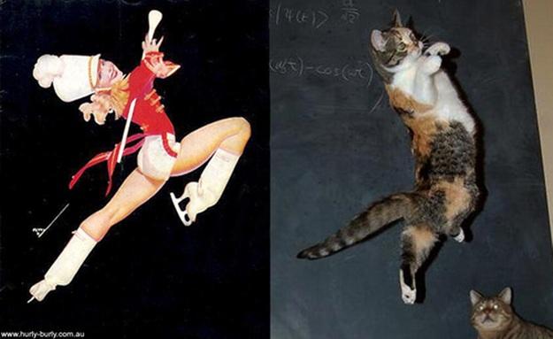 cats-that-look-like-pin-up-girls-11.jpg