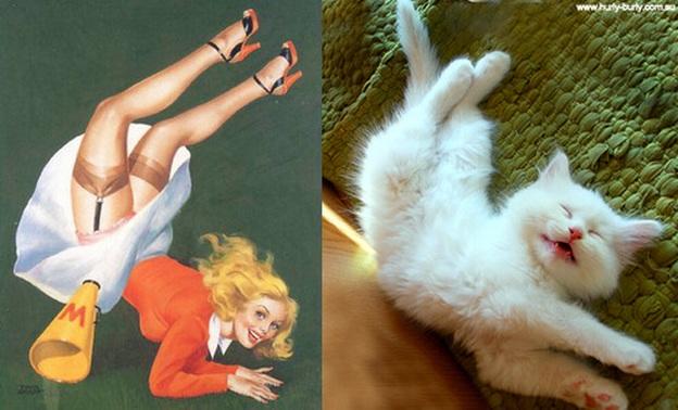 cats-that-look-like-pin-up-girls-13