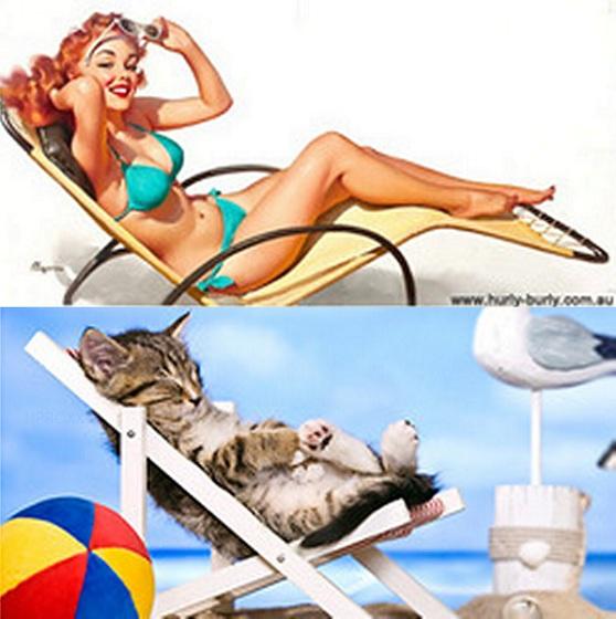cats-that-look-like-pin-up-girls-14.jpg