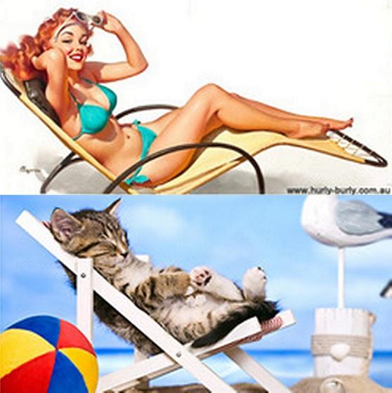 cats-that-look-like-pin-up-girls-14