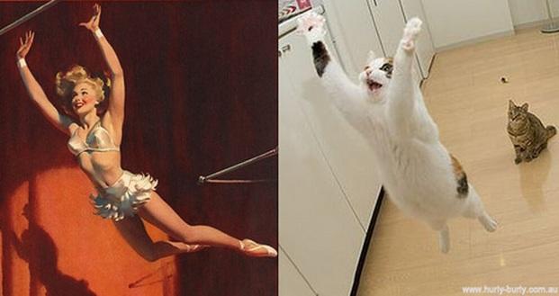 Cats That Look Like Pin Up Girls 24 Pics Pleated Jeans