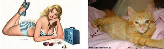 cats-that-look-like-pin-up-girls-16
