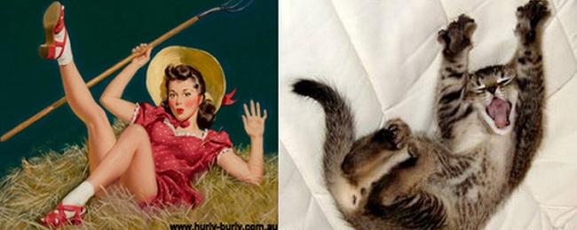 cats-that-look-like-pin-up-girls-17