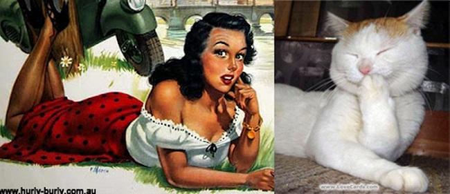 cats-that-look-like-pin-up-girls-18